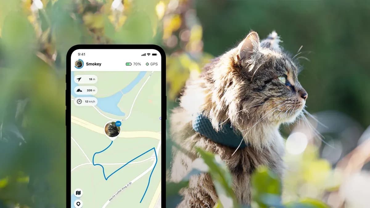 recenze gps lokátorů pro kočky