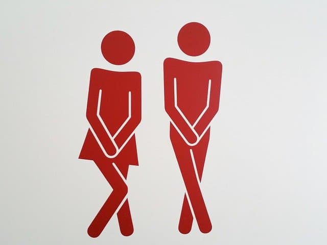 Jak vybrat chemické WC