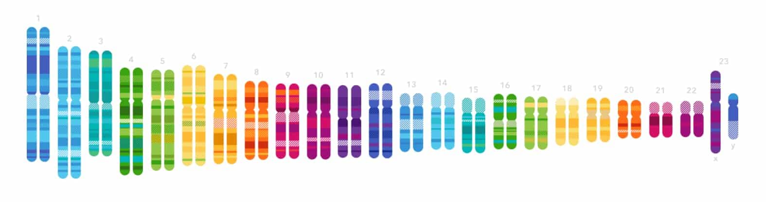 23andMe DNA test pary chromozomů recenze