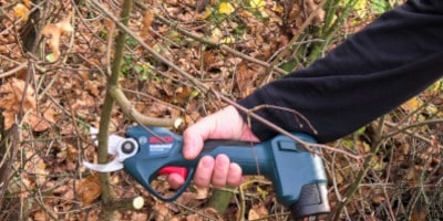 recenze Bosch Pro Pruner Professional