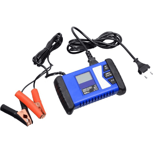 Compass PROFI 6/12V: Product review