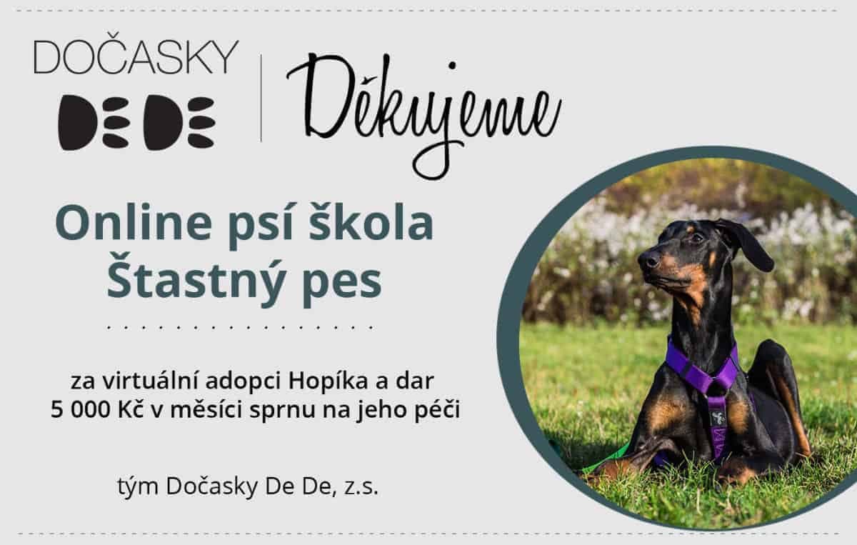 on line psí škola pomáhá