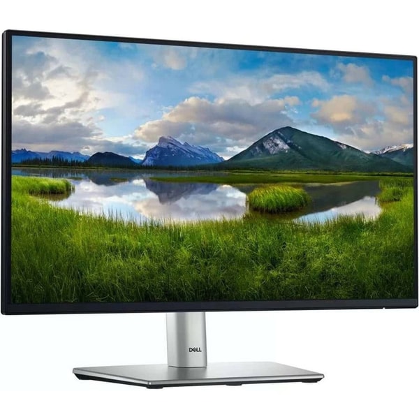 Dell P2225H: Product review