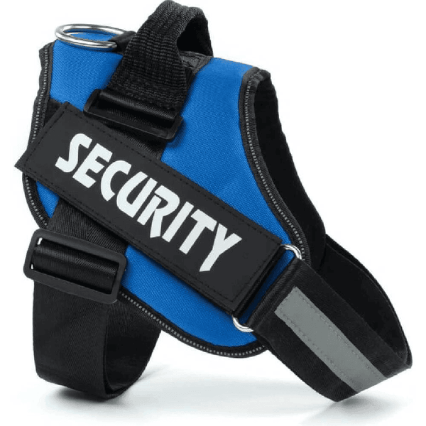 Security: Product review